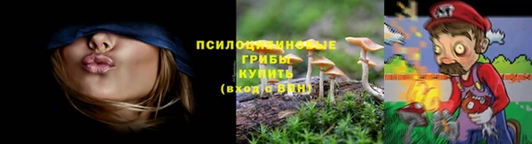 тгк Аркадак