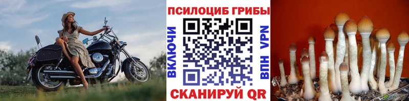 как найти   Данков  Псилоцибиновые грибы прущие грибы 